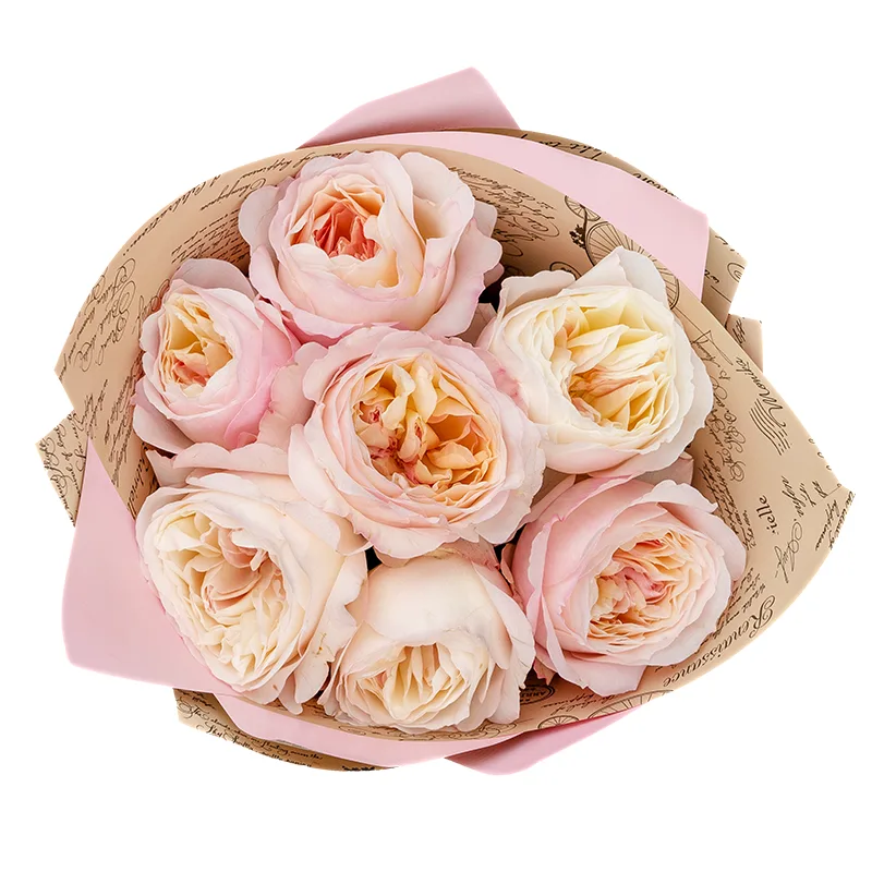 Букет из 7 розово-кремовых садовых роз Дэвида Остина Кейра (01384)