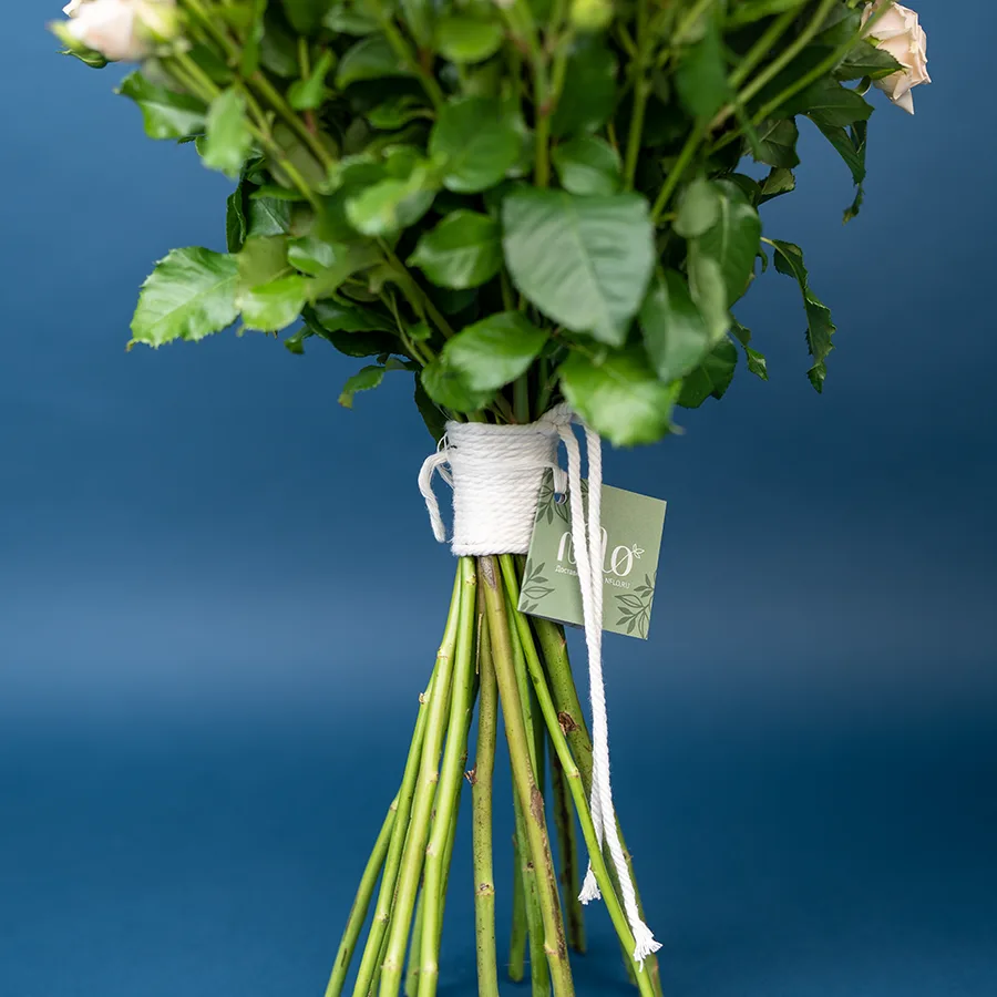 Букет из 19 кремовых кустовых роз Таня (02709)