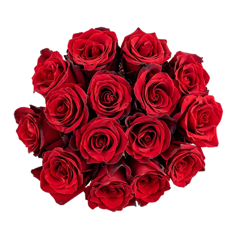 Букет из 15 тёмно-красных роз Эксплорер (01552)