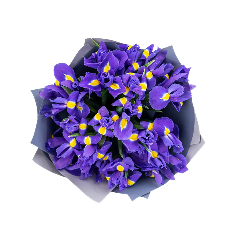 Букет из 19 фиолетово-синих ирисов Блю Мэйджик (01187)