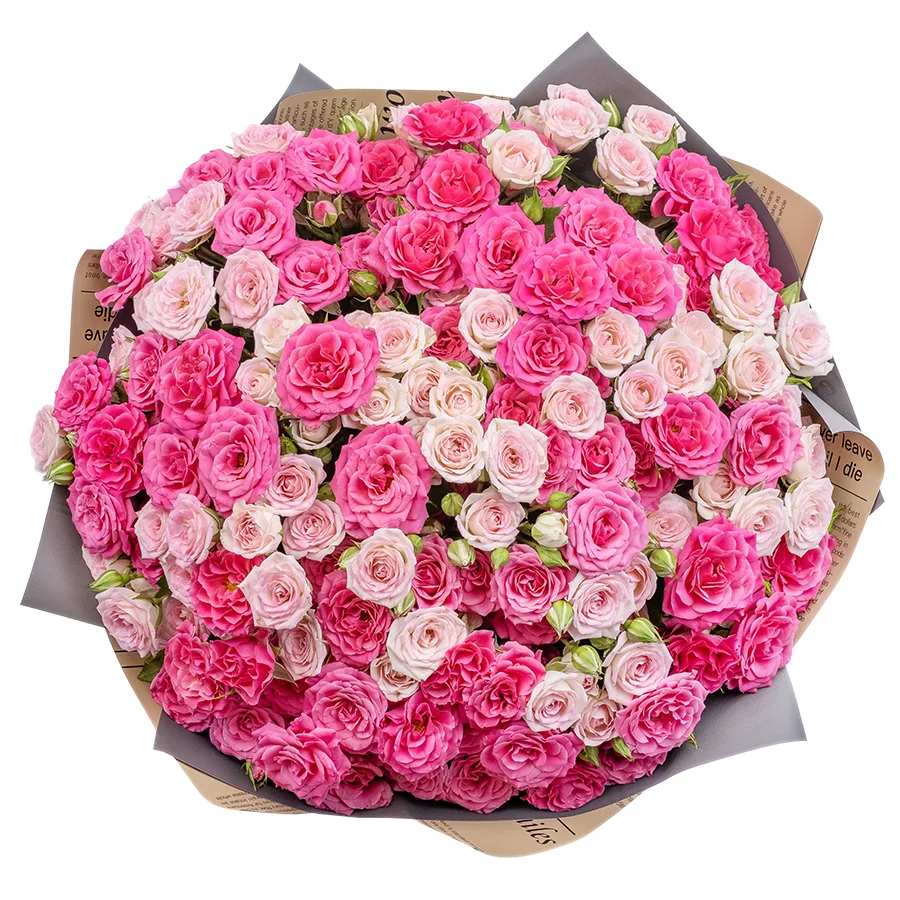 Букет из 27 розовых и малиновых кустовых роз Креми Твистер и Лиана (02484)