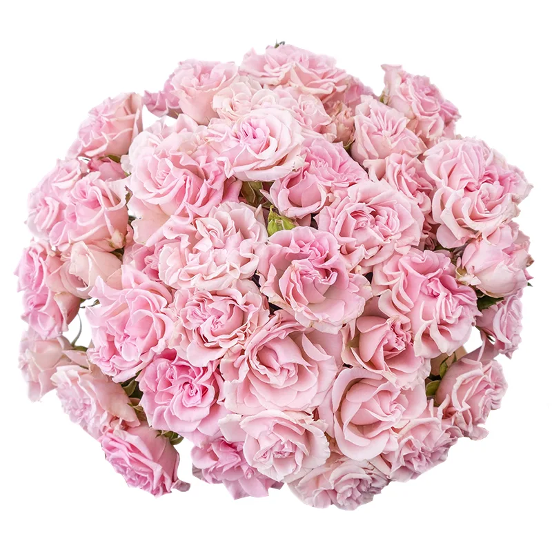 Букет из 19 розовых кустовых роз Свит Флоу (02116)