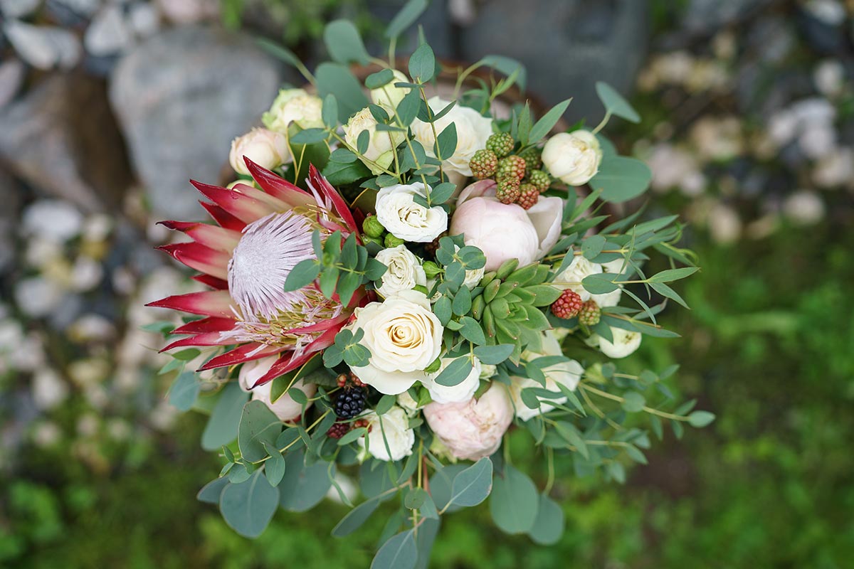 Букет невесты из пионов и роз с протеей, ежевикой и эхеверией (00979)
