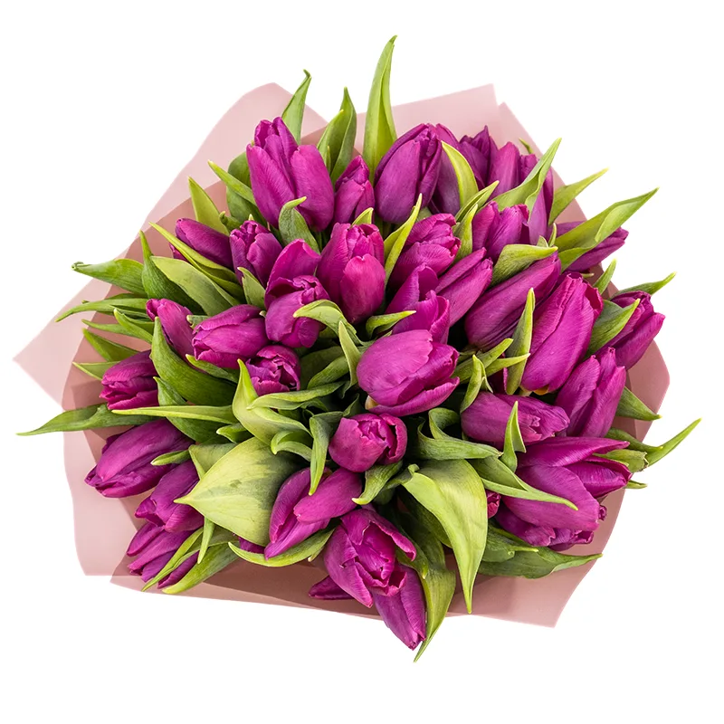 Букет из 35 фиолетовых тюльпанов (01919)
