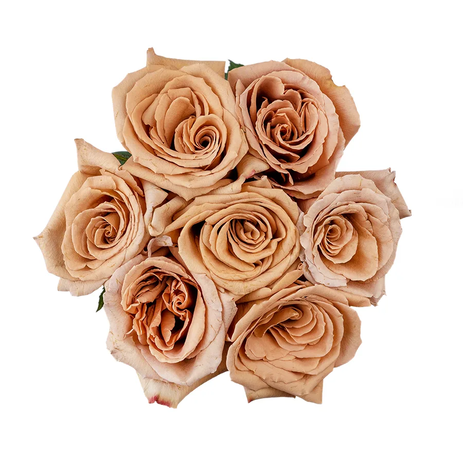 Букет из 7 кофейно-карамельных роз Тоффи (02953)