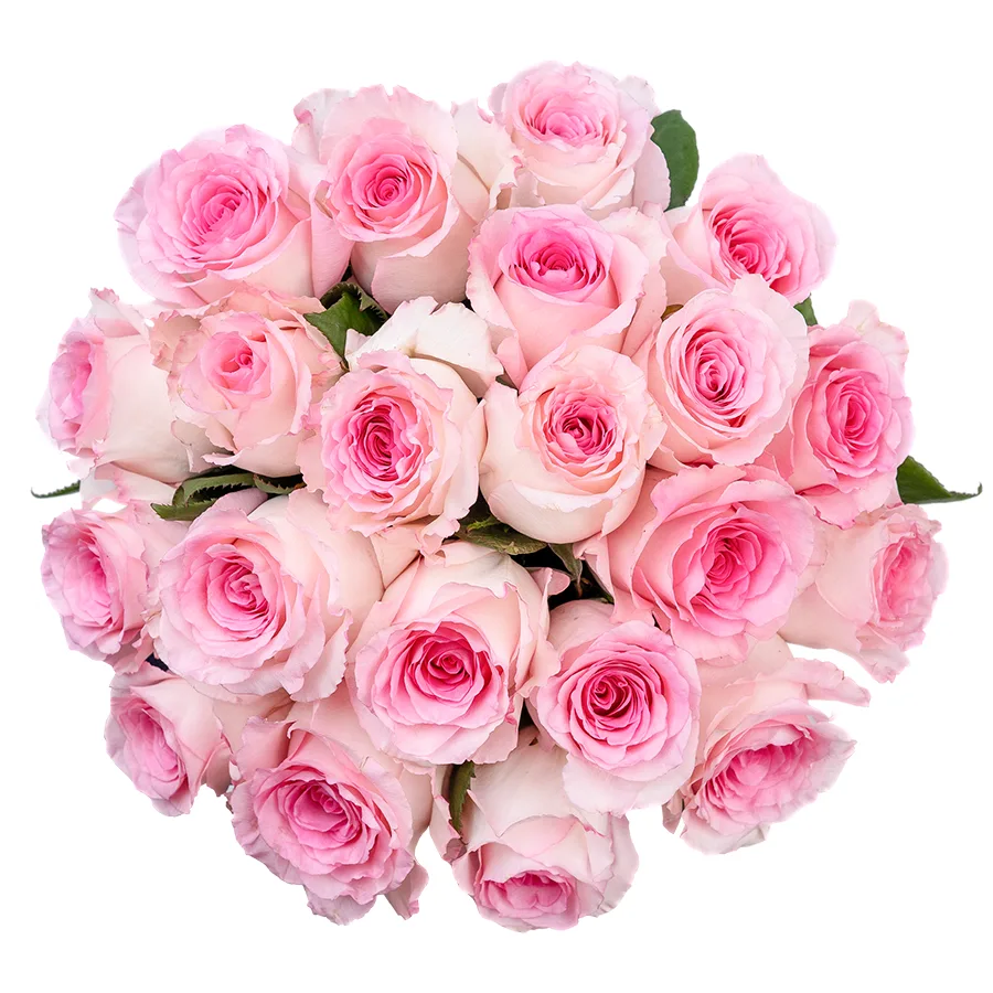 Букет из 21 бело-розовой розы Мандала (02661)