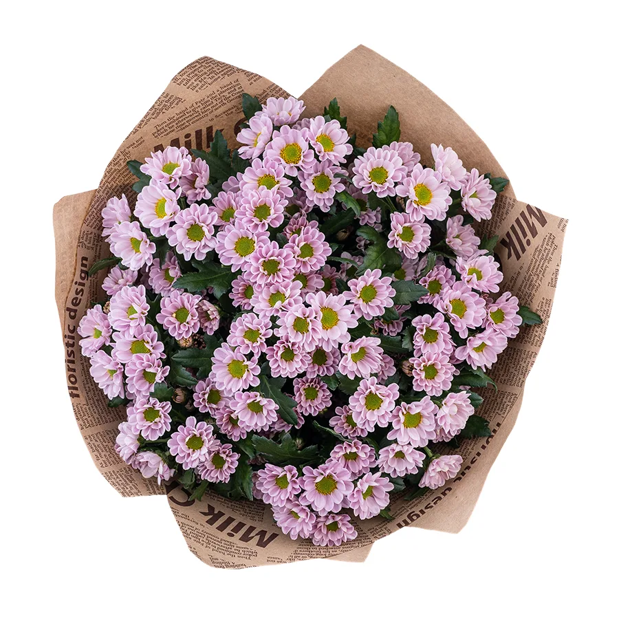 Букет из 11 нежно-розовых кустовых хризантем Сантини Росси Пинк (02840)