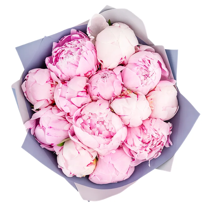 Букет из 13 розовых пионов Сара Бернар (01223)