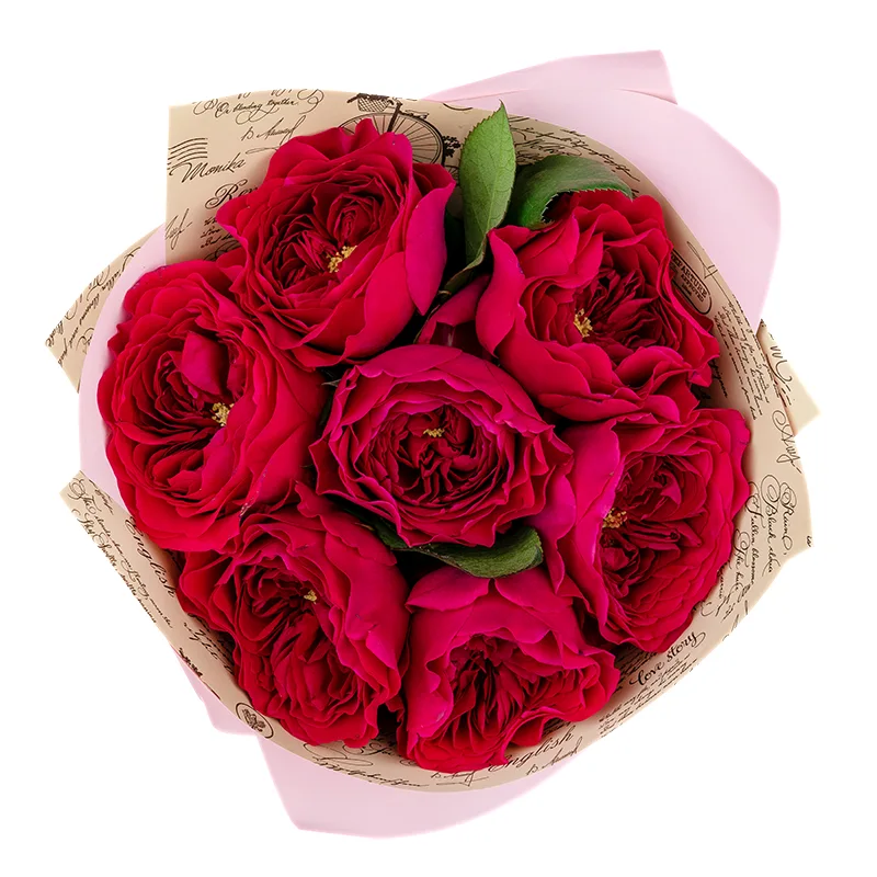 Букет из 7 красно-малиновых садовых роз Дэвида Остина Дарси (01393)