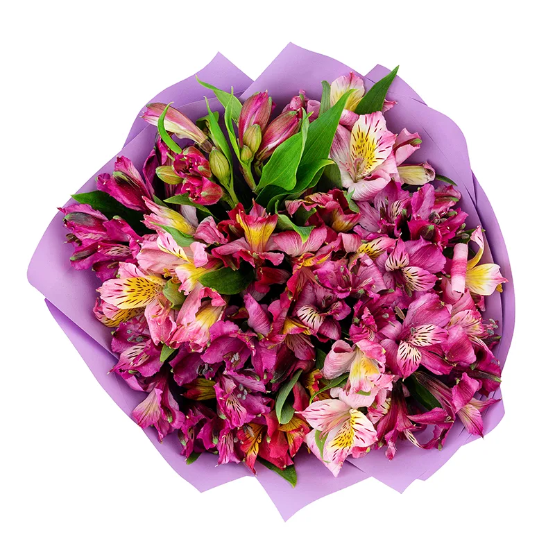 Букет из 15 фиолетовых, малиновых и розовых альстромерий (01457)