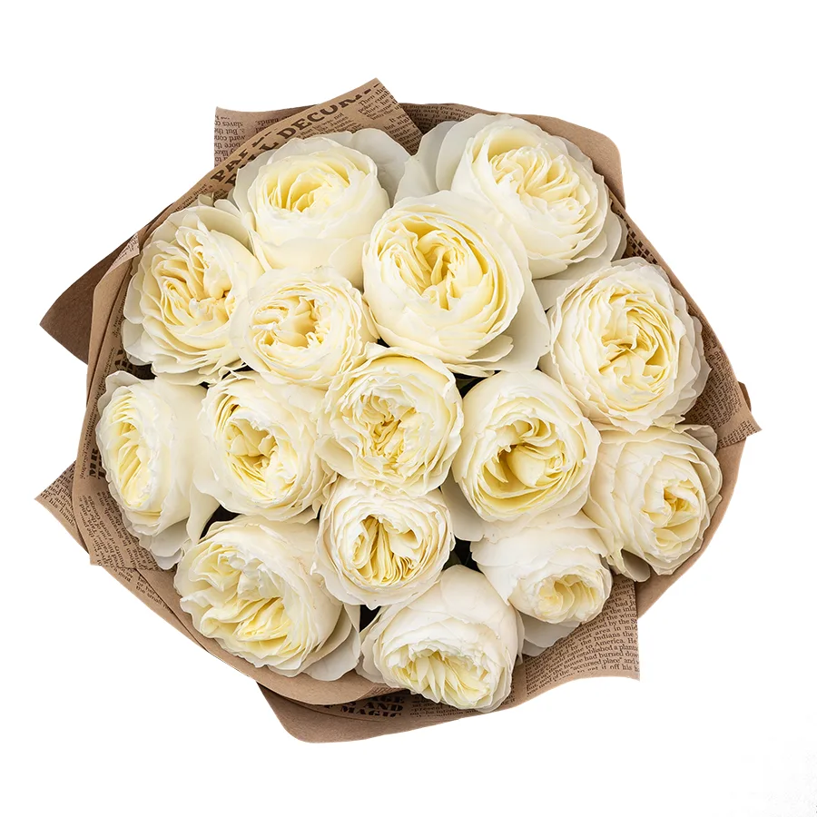 Букет из 15 бело-кремовых пионовидных роз Колдплей (02875)