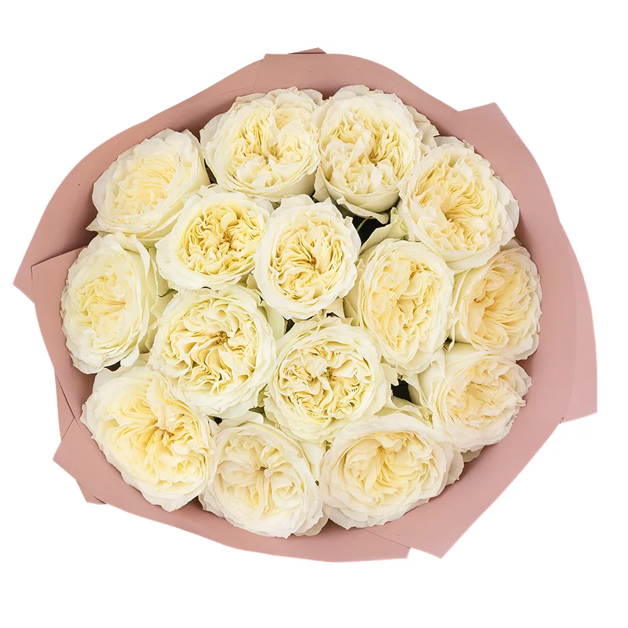 Букет из 15 белых пионовидных роз Майра Вайт (03027)