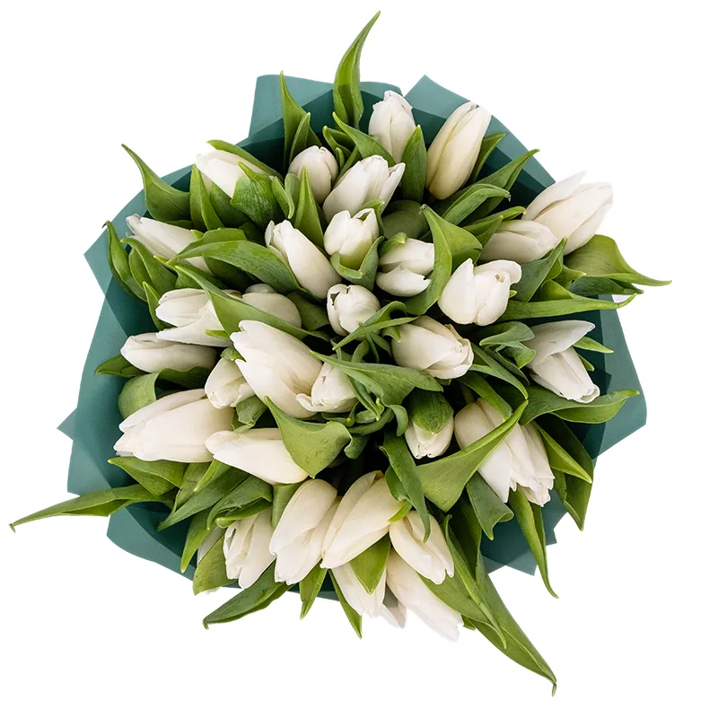 Букет из 35 белых тюльпанов (01903)