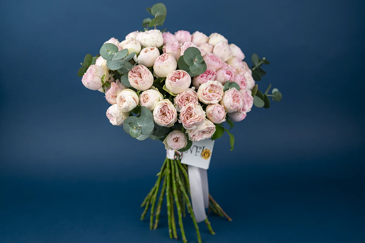 Букет из 19 нежно-розовых кустовых пионовидных роз Мансфилд Парк (01068)