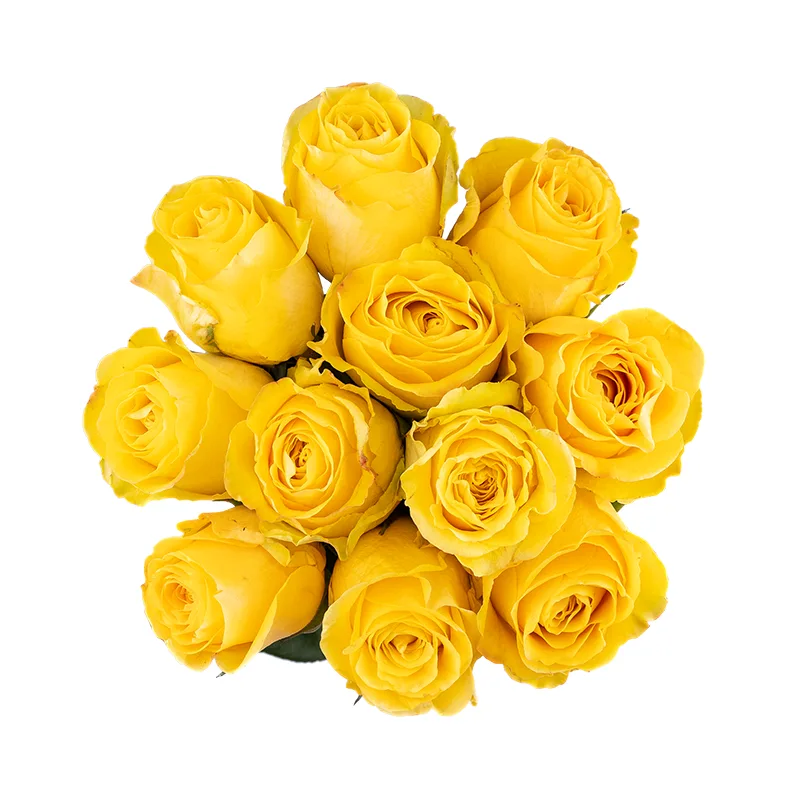 Букет из 11 жёлтых роз Брайтон (01822)