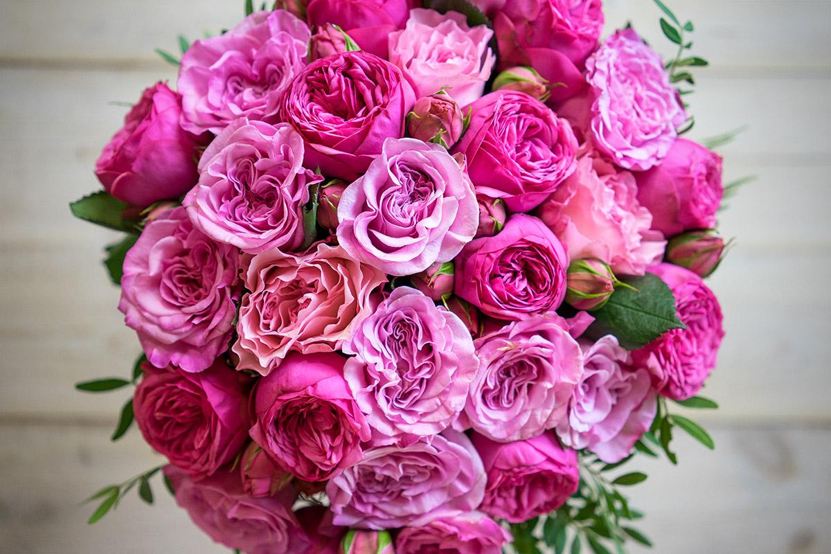Букет из 27 розовых пионовидных роз (00638)