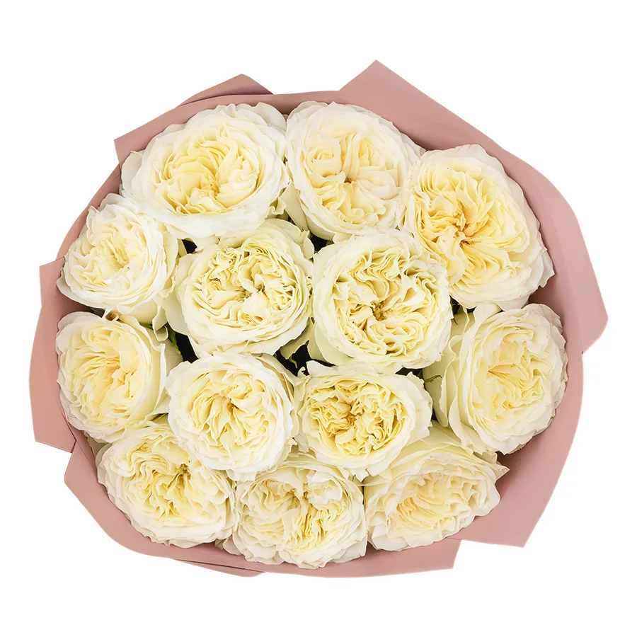 Букет из 13 белых пионовидных роз Майра Вайт (03028)