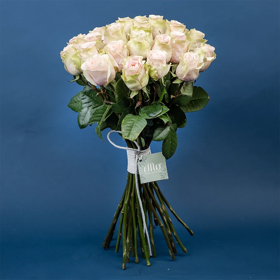 Букет из 27 светло-розовых роз Фрутетто (02210)