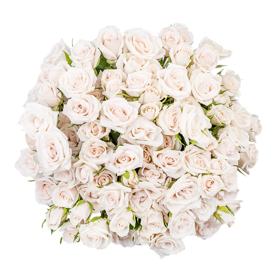 Букет из 17 бело-кремовых кустовых роз Роял Порцелина (02356)