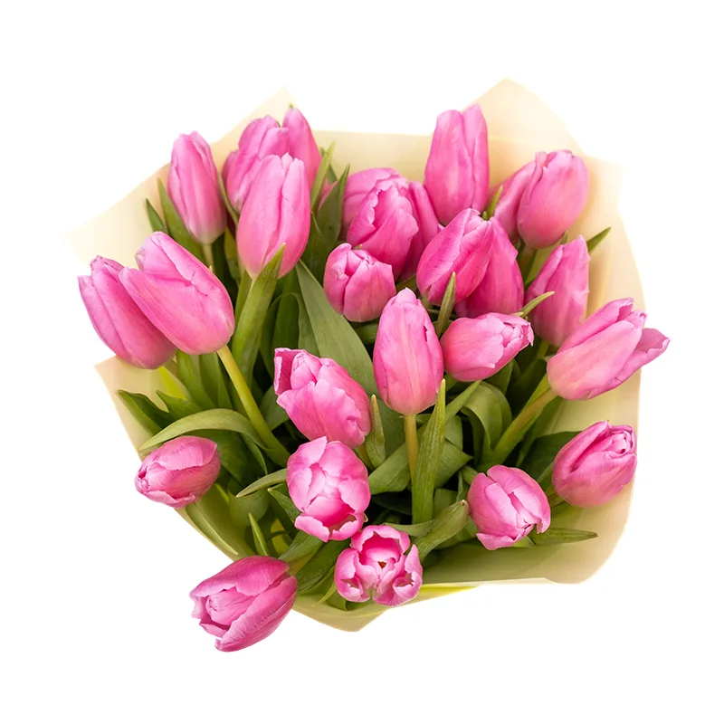 Букет из 27 розовых тюльпанов (01955)