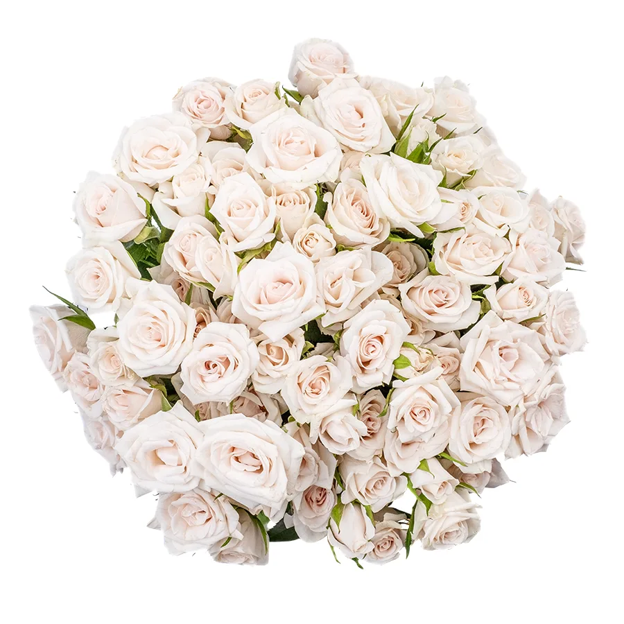 Букет из 15 бело-кремовых кустовых роз Роял Порцелина (02357)