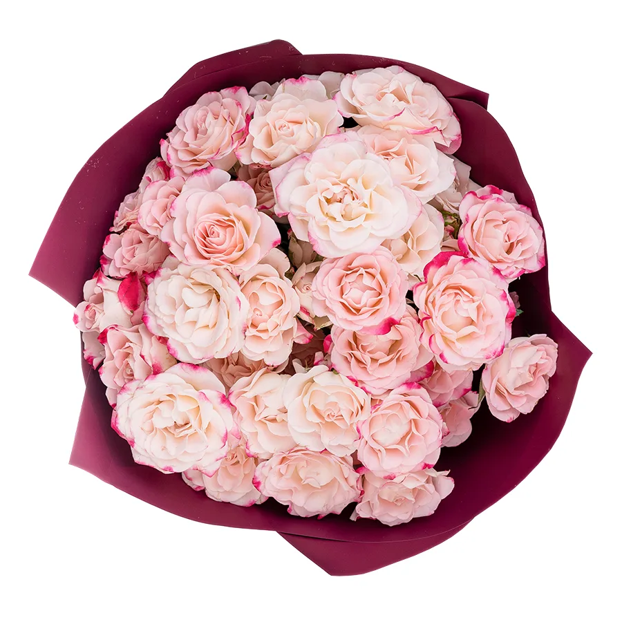Букет из 9 кремовых с малиновыми краями кустовых роз Рефлекс (02628)