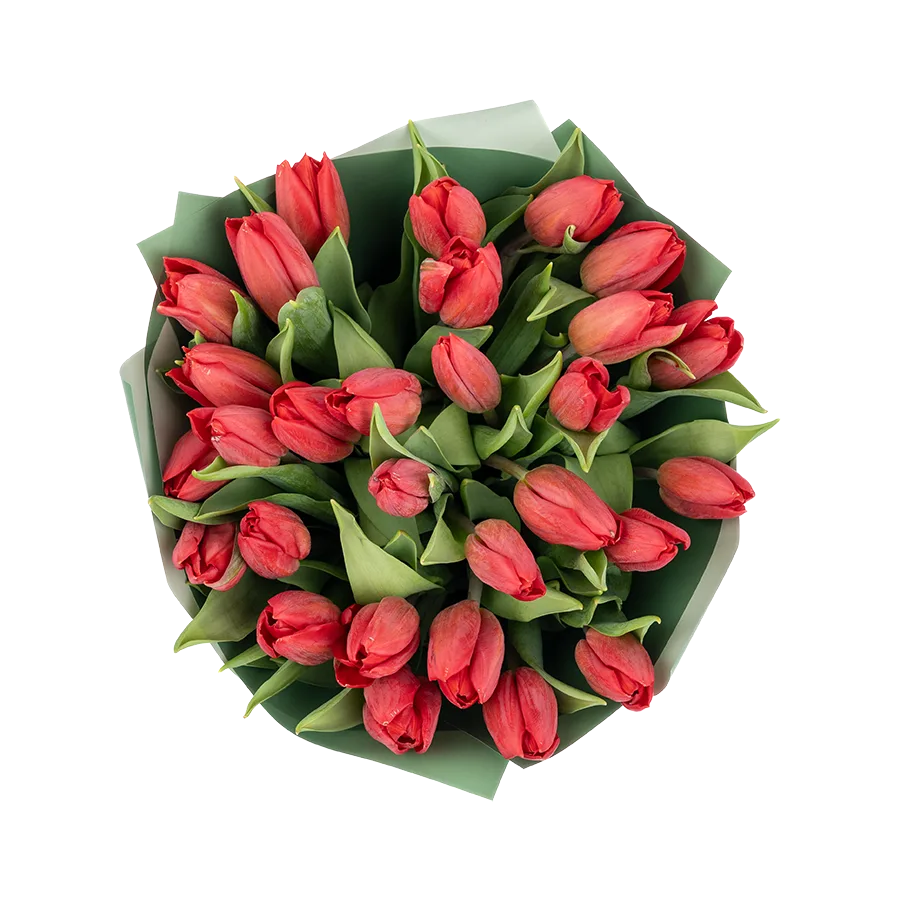 Букет из 29 красных тюльпанов (01890)