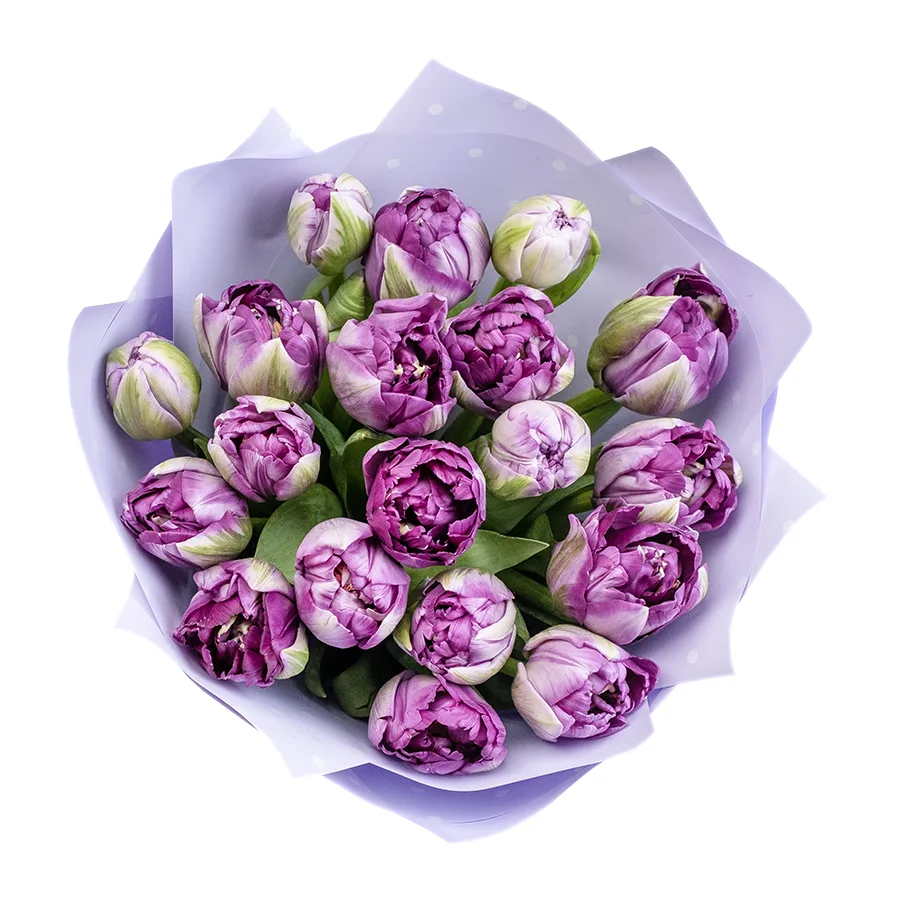 Букет из 19 фиолетовых махровых тюльпанов Сайгон (02393)