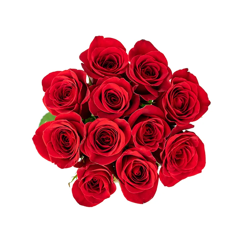 Букет из 11 красных роз Фридом (01149)