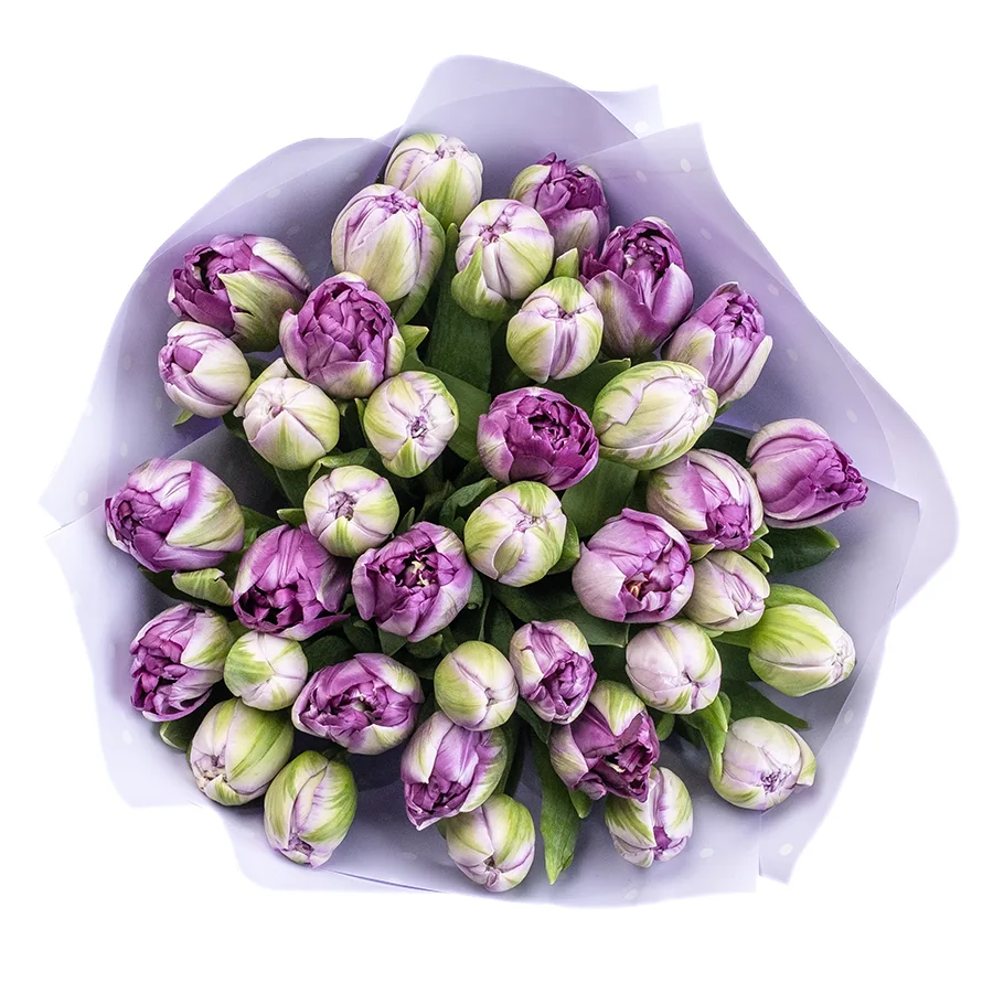 Букет из 37 фиолетовых махровых тюльпанов Сайгон (02384)