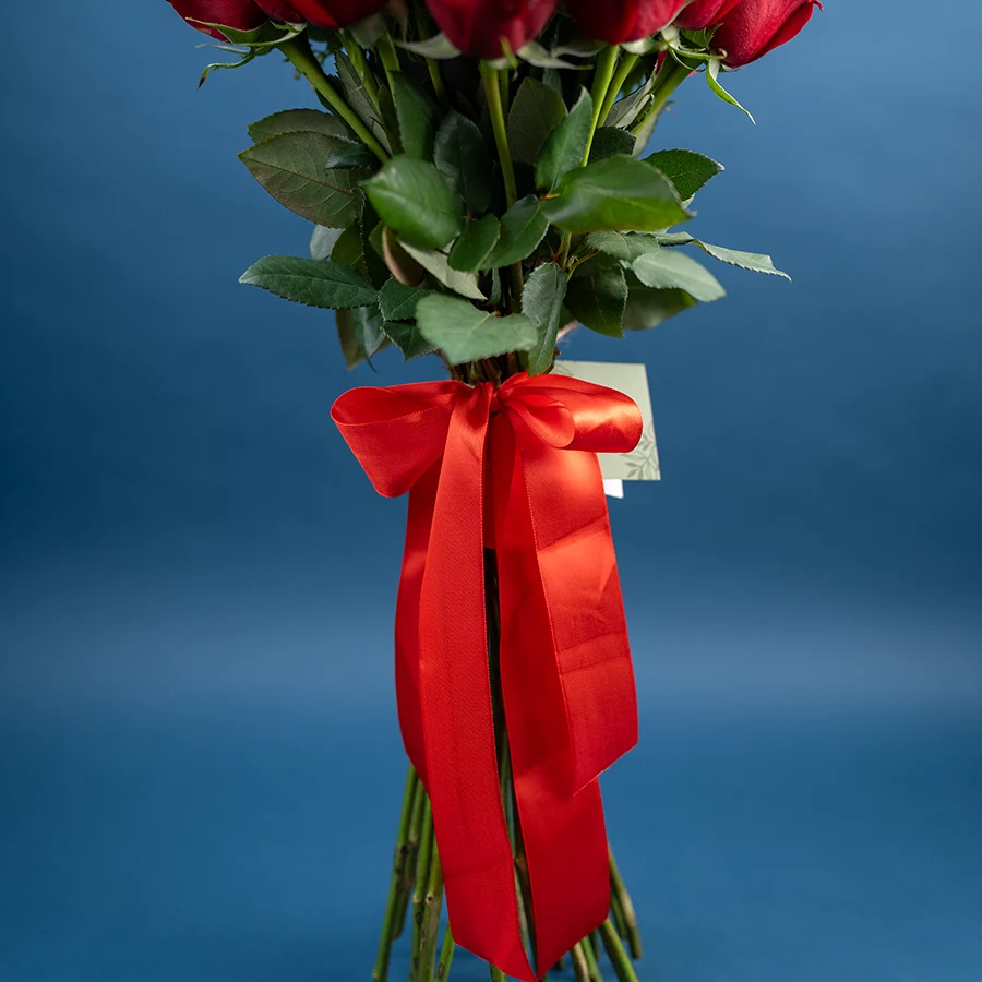 Букет из 25 красных роз Фридом (03228)