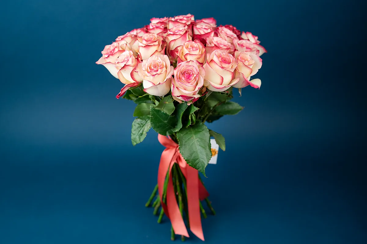 Букет из 25 кремовых с красными краями роз Свитнес (01365)
