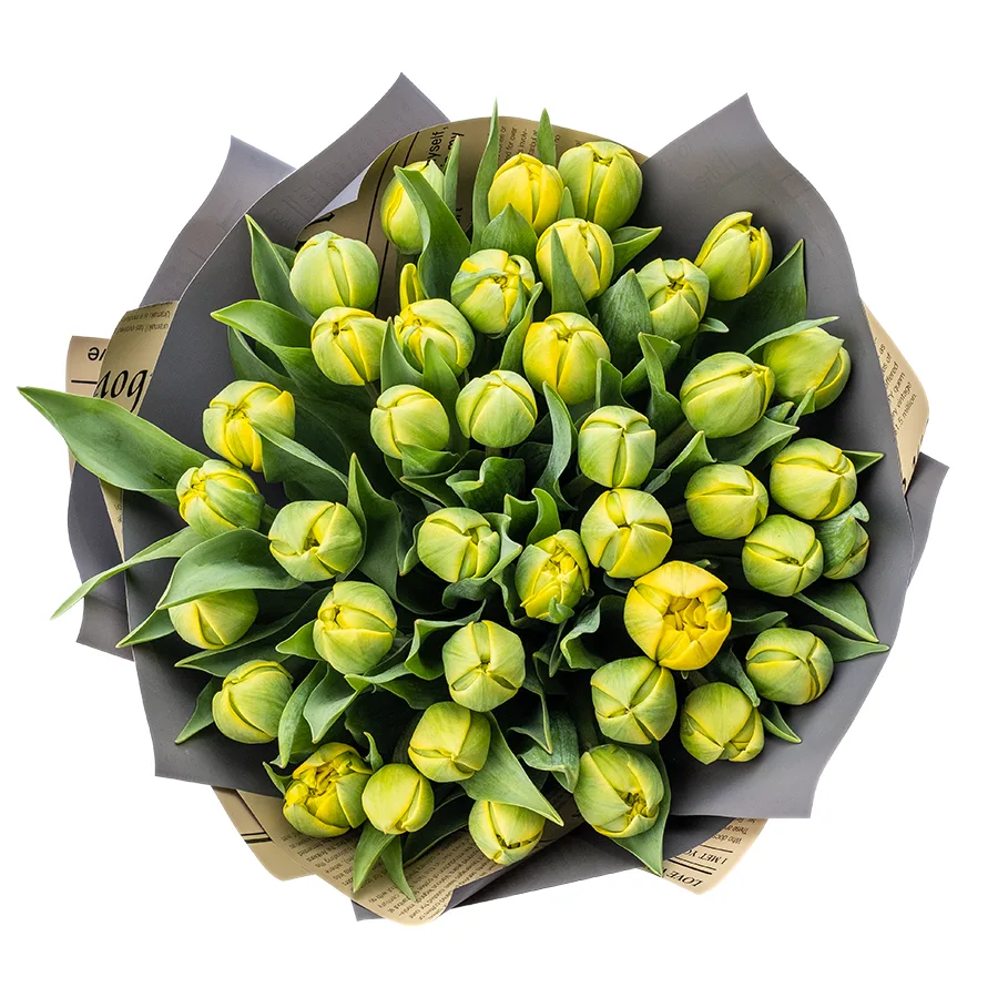 Букет из 39 желтых махровых тюльпанов Йелоу Помпонет (02437)