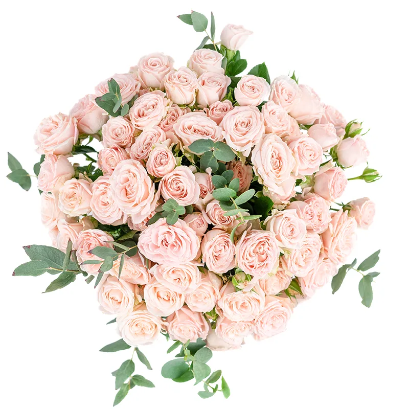 Букет из 17 розовых кустовых роз Бомбастик (01246)