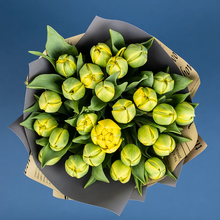 Букет из 25 желтых махровых тюльпанов Йелоу Помпонет (02444)