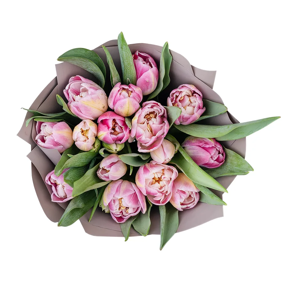 Букет из 15 бело-розовых махровых тюльпанов Бриндизи (03057)