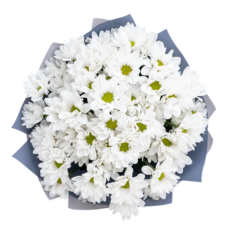 Букет из 7 белых кустовых хризантем в упаковке (01177)