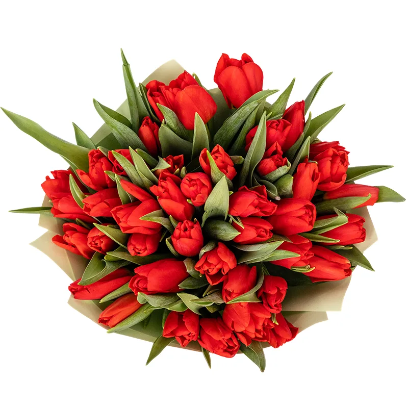 Букет из 41 красного тюльпана (01884)