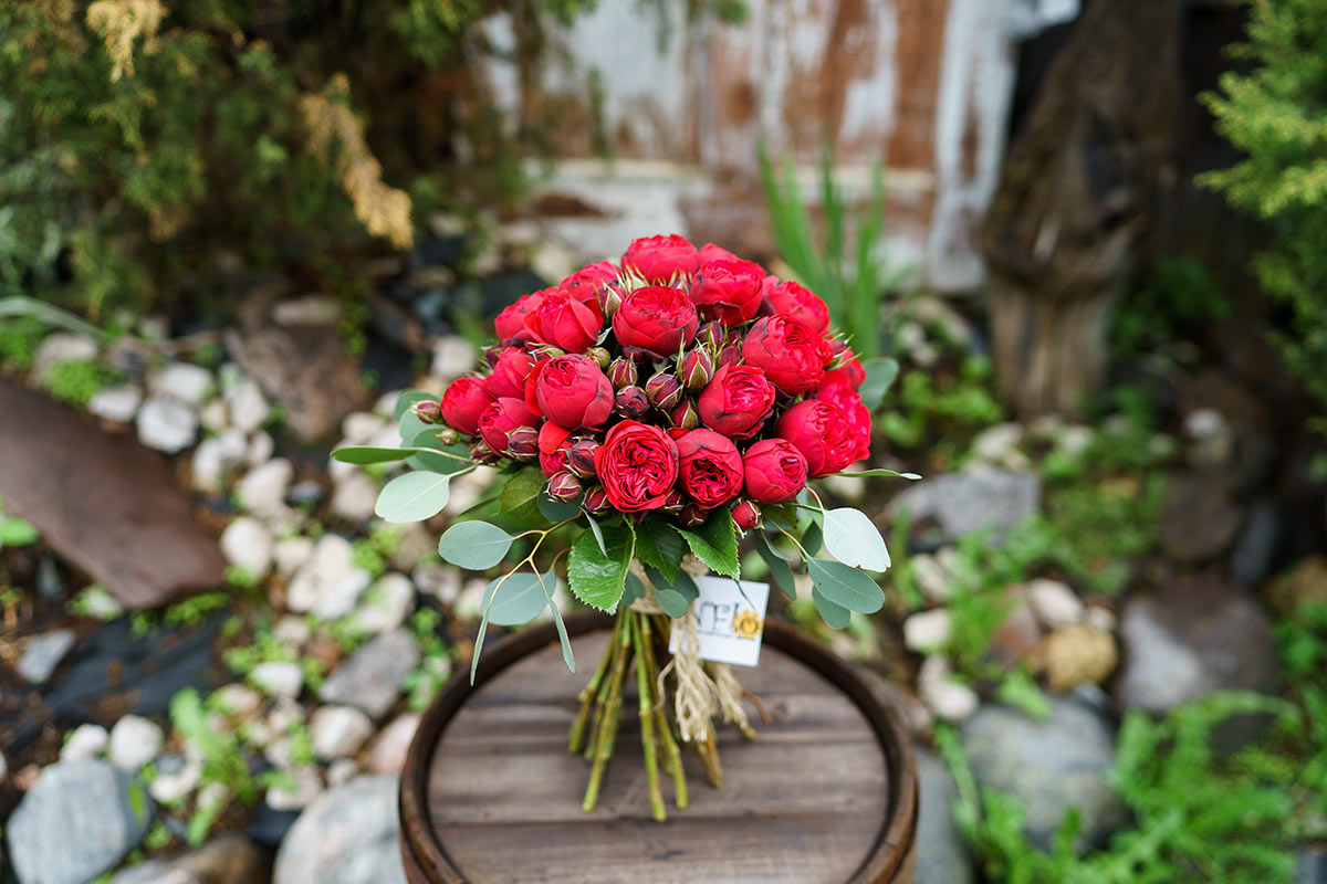 Букет из 23 красных кустовых пионовидных роз Пиано (00478)