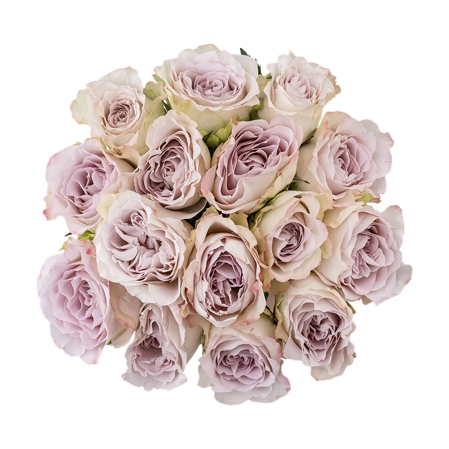 Букет из 15 серебристо-лавандовых роз Сильвер Мемори Лэйн (03076)