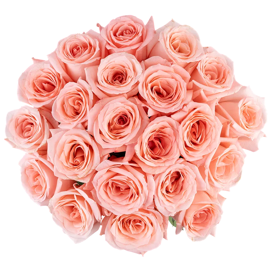 Букет из 21 светло-розовой розы Энгейджмент (03848)