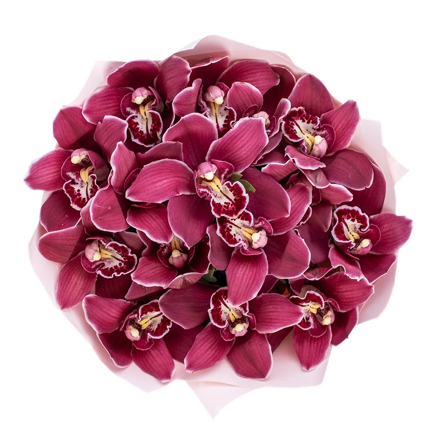 Букет из 15 красных орхидей Цимбидиум (02500)