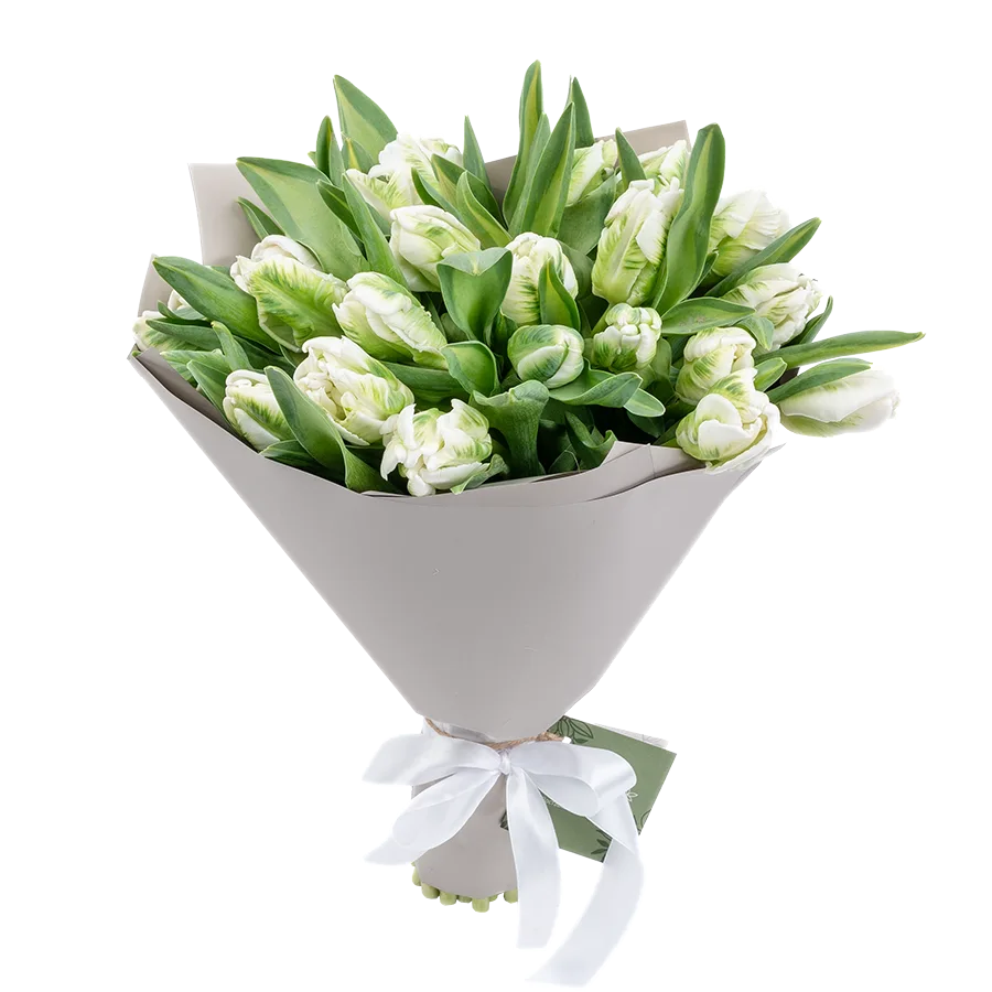 Букет из 25 белых попугайных тюльпанов Супер Пэррот (02003)