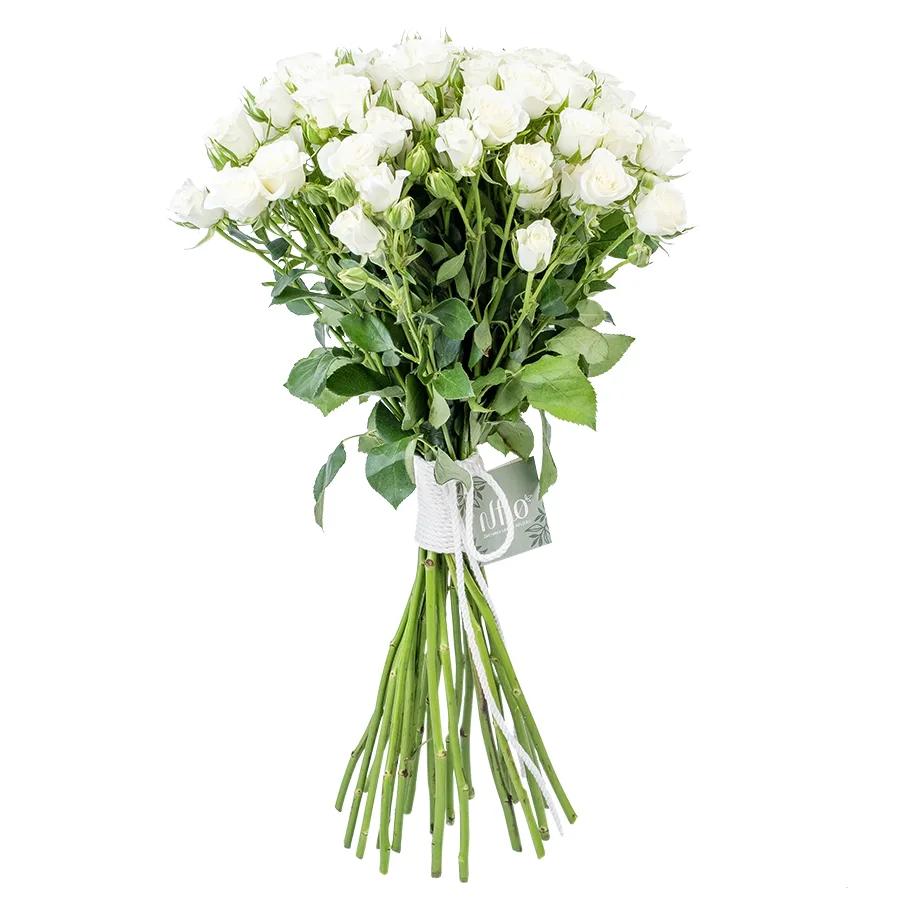 Букет из 21 белой кустовой розы Сноуфлейк (02125)