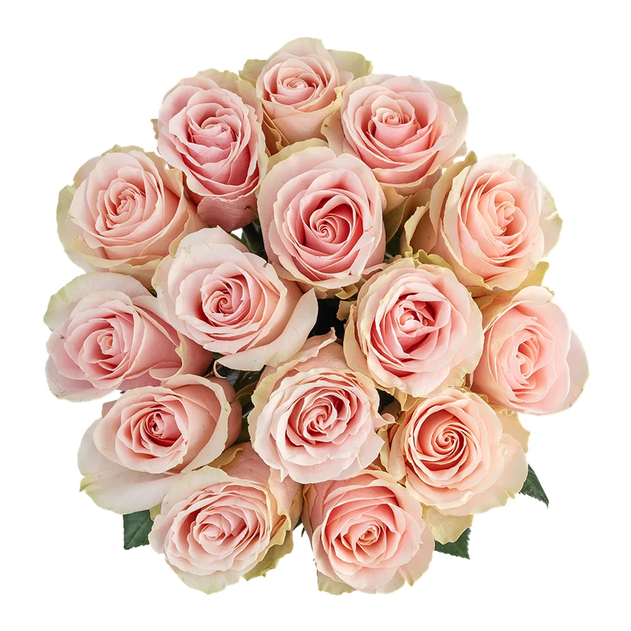 Букет из 15 светло-розовых роз Фрутетто (02136)