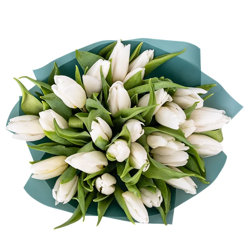 Букет из 27 белых тюльпанов (01907)
