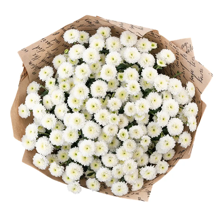 Букет из 17 белых кустовых хризантем Сантини Калимеро Сноу (02688)