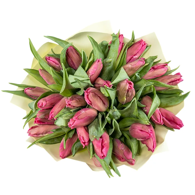 Букет из 29 розовых попугайных тюльпанов Марвел Пэррот (02064)