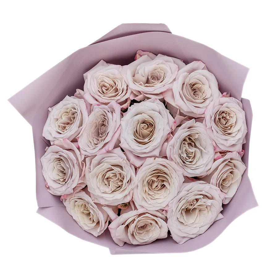 Букет из 15 серебристо-лавандовых садовых роз Мента (02564)