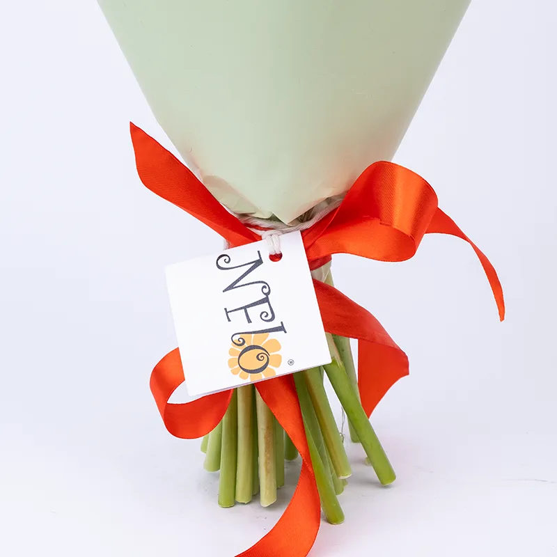 Букет из 25 красных тюльпанов (01892)